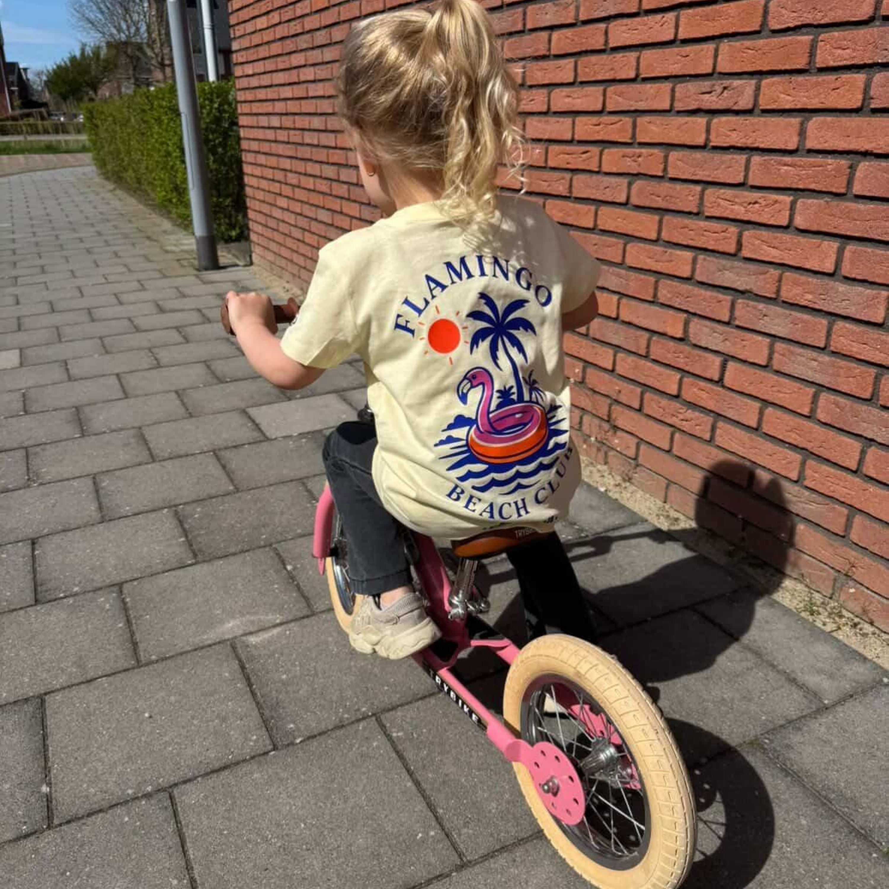 Flamingo | T-shirt